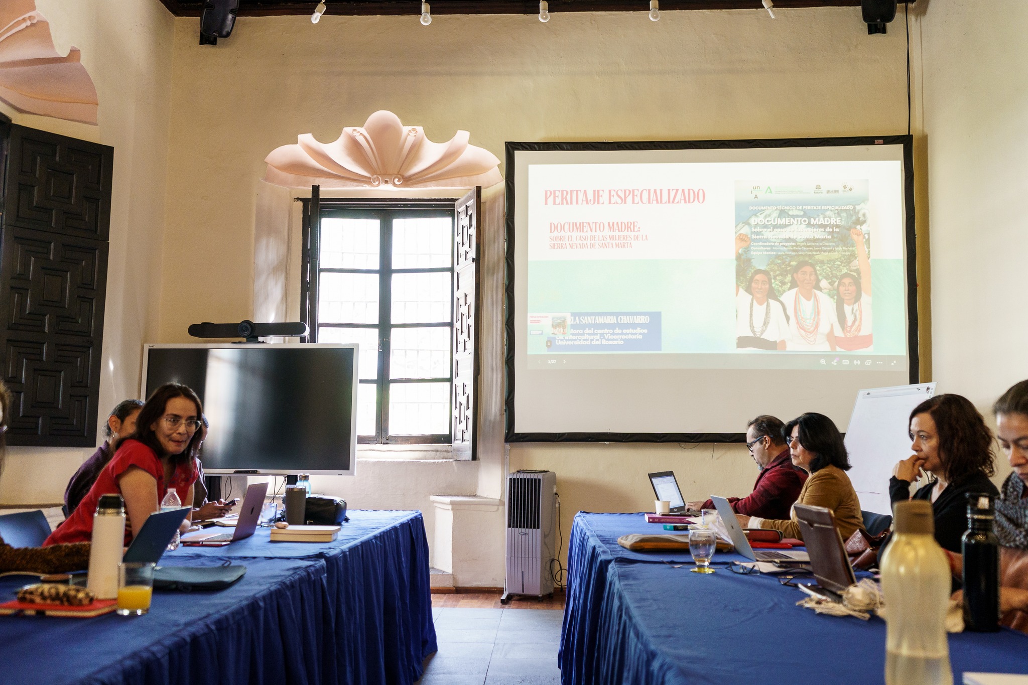 Taller “peritaje antropológico en casos de violencia de género y sexual contra mujeres y niñas indígenas”.
